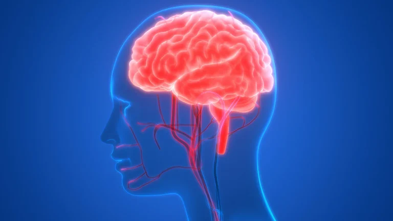 5 Cara Meningkatkan Aliran Darah ke Otak