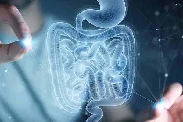 7 Cara Meningkatkan Kesehatan Sistem Pencernaan 7 Cara Meningkatkan Kesehatan Sistem Pencernaan