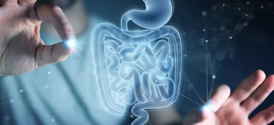 7 Cara Meningkatkan Kesehatan Sistem Pencernaan