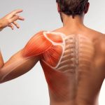 Mengobati Dislokasi Bahu